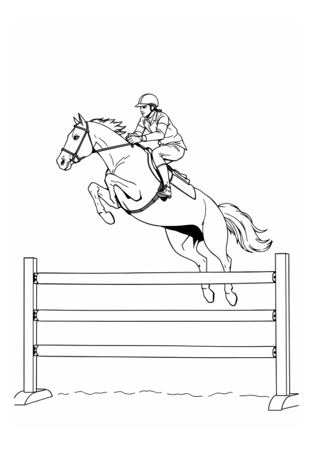 Equestrian Show Jumping: Expert Rider Leaps Over Barrier
