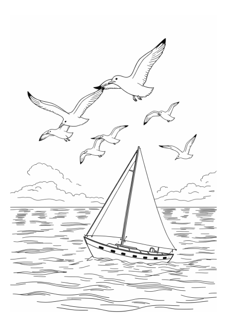 Seagulls Flying Above a Sailing Boat