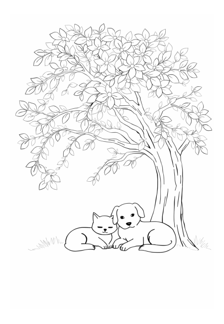 Cat and Dog Napping Under a Tree